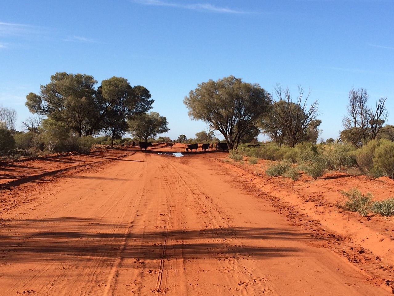 Australian-drought-to-bite