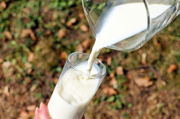dairy-product-export