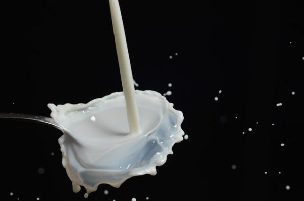 milk-markets