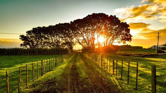 drought-in-new-zealand