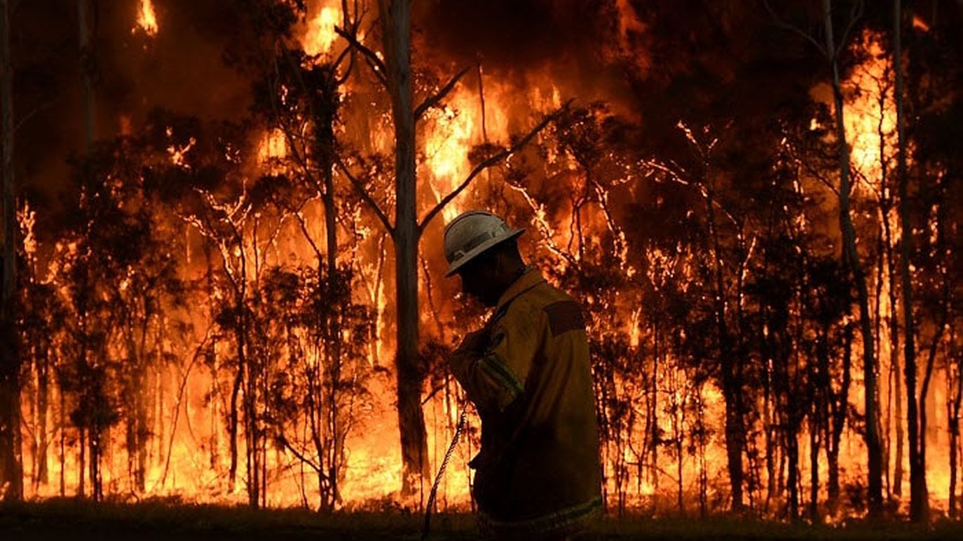 dairy-nsw-bush-fire