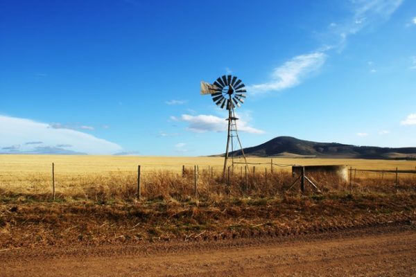 australian-dairy